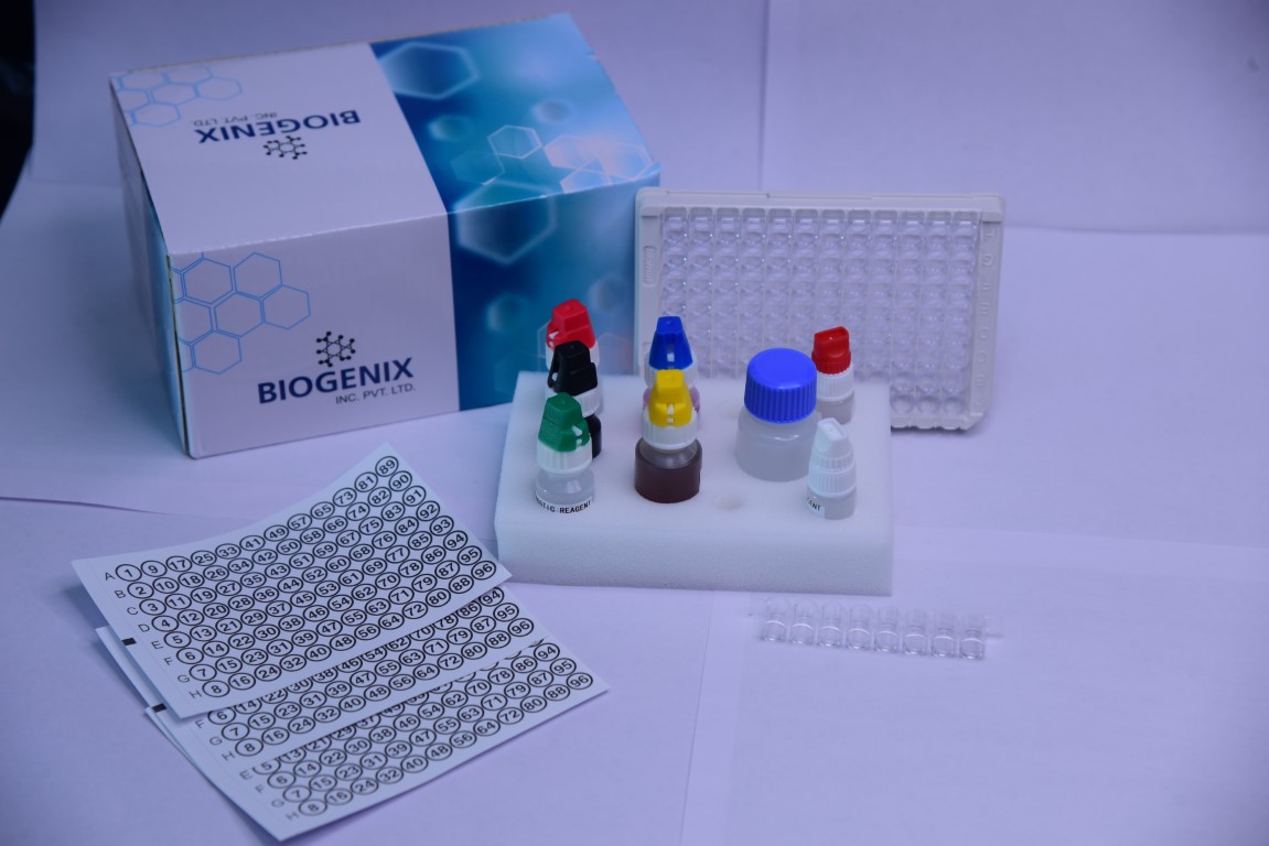 ELISA Test Kits