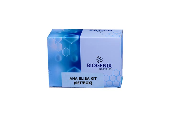 ANA Screen IgG ELISA Kit