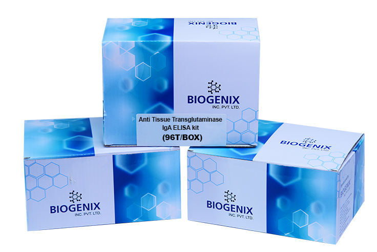 Anti Tissue Transglutaminase IgA ELISA