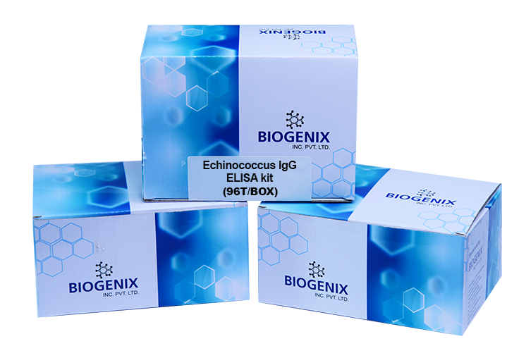 Echinococcus IgG ELISA Kit