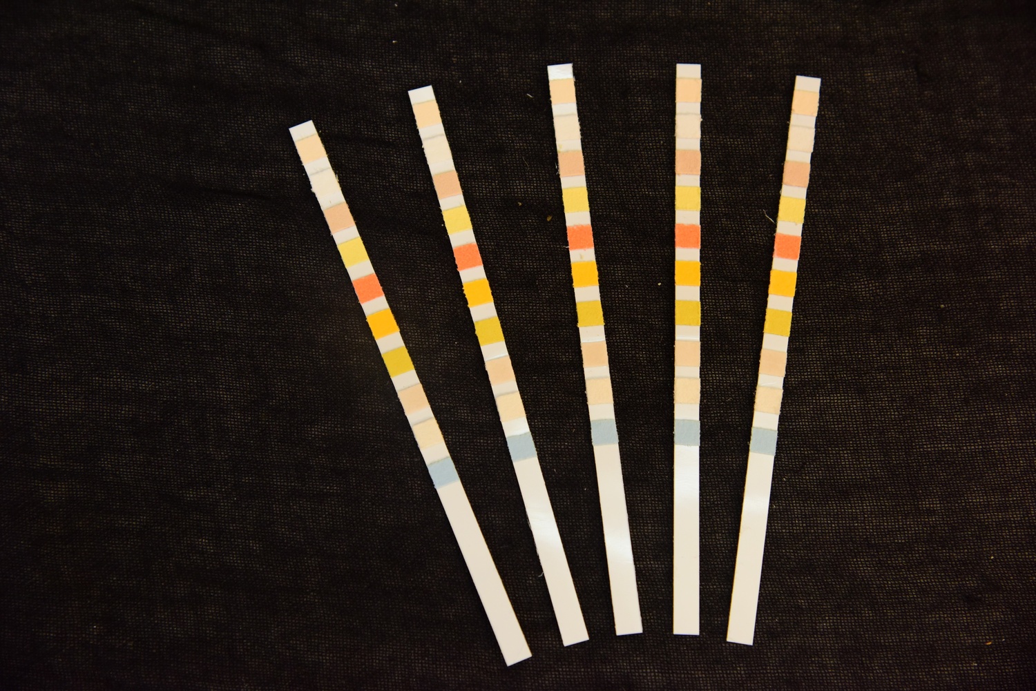 Urine Strip – 10 Parameter